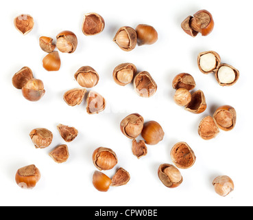 Filbert nut isolé sur fond blanc Banque D'Images