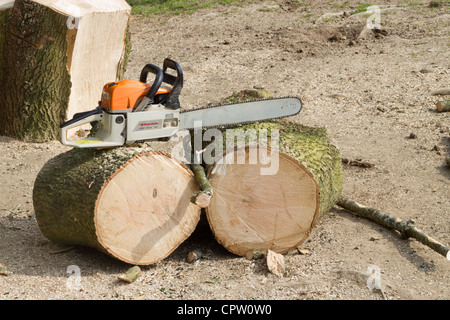 Chainsaw reposant sur les grosses billes d'un tronc d'arbre fraîchement coupé. Banque D'Images