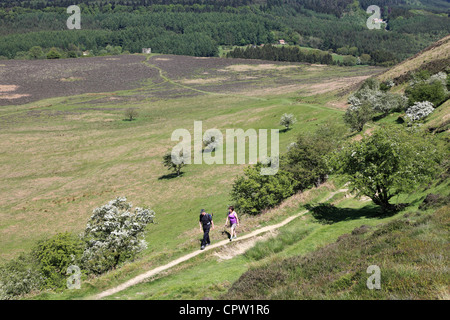 Deux marcheurs sur le North Yorkshire Moors près de Skelton, North Yorkshire Moors, Angleterre Banque D'Images