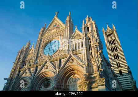 Il Duomo di Siena, la Cathédrale de Sienne, Italie Banque D'Images