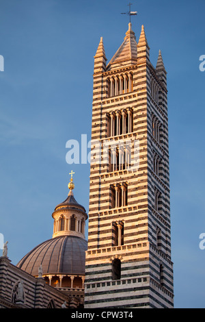 Il Duomo di Siena, la Cathédrale de Sienne, dôme et le campanile du clocher, Italie Banque D'Images