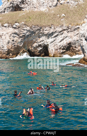 En apnée au parc national des îles iles marietas Isla Réserve de biosphère de l'unesco Puerto Vallarta, Mexique. Banque D'Images