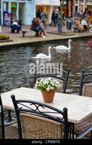 Une table et des chaises à l'extérieur d'un café de la rue de la ville néerlandaise de Delft, Pays-Bas Banque D'Images