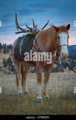 Le flexible à l'aube dans un ranch dans le nord-est du Wyoming Banque D'Images
