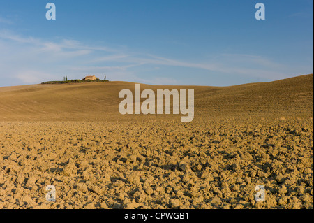 Paysage aride typique de la Toscane, près de Pienza, en Val D'Orcia, Toscane, Italie Banque D'Images