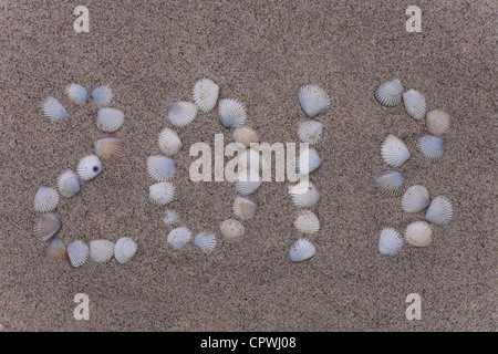 Nouvelle année 2013 nombre de dessins de shell dans le sable sur la plage Banque D'Images