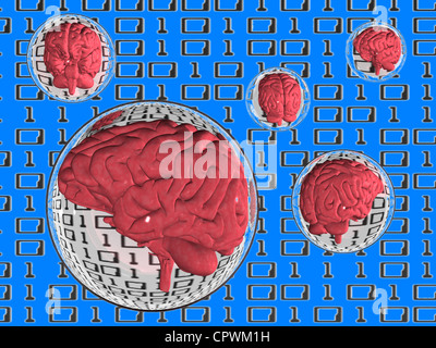 Illustration d'un cerveau humain dans des sphères flottantes Banque D'Images