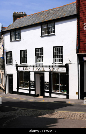 Le fossile de Lyme Shop à Lyme Regis Dorset Banque D'Images