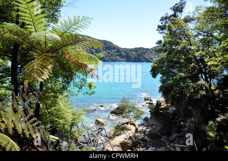 Vue côtière, Abel Tasman National Park, South Island, New Zealand Banque D'Images