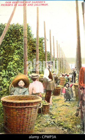 Carte postale de trappe dans le jardin hop Banque D'Images