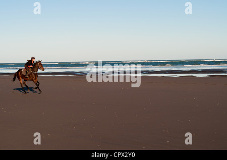Mid adult woman riding horse on beach Banque D'Images