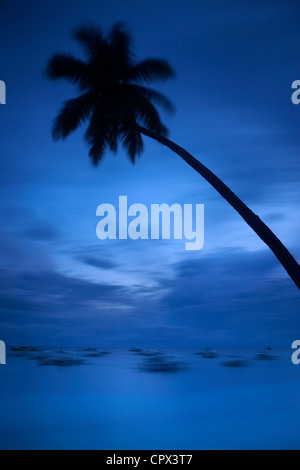 Crépuscule sur Alona Beach, l'île de Panglao, Bohol, Philippines, les Visayas Banque D'Images