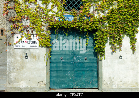 Pour l'usine Vigna Vecchia vin Chianti Classico à Radda-in-Chianti, Toscane, Italie Banque D'Images