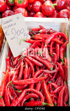 Des piments, Piccanti di Calabria, en vente au marché de rue hebdomadaire en Greve-in-Chianti, Toscane, Italie Banque D'Images