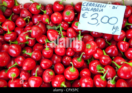 Pimento poivrons, Ceraselli di Calabria, en vente au marché de rue hebdomadaire en Greve-in-Chianti, Toscane, Italie Banque D'Images