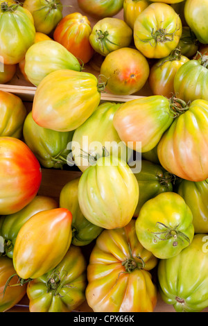 Tomate fraîche, cuor di bue nostrale, en vente au marché de rue hebdomadaire en Greve-in-Chianti, Toscane, Italie Banque D'Images