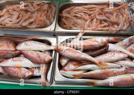 Poisson frais à vendre Malaga Banque D'Images