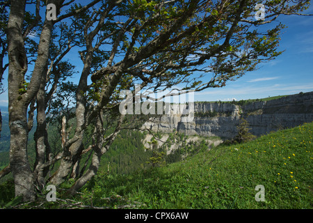 Le mur de Creux du Van dans le cantone de Neuchâtel Suisse qui s'appelle le Grand Canyon de Suisse Banque D'Images