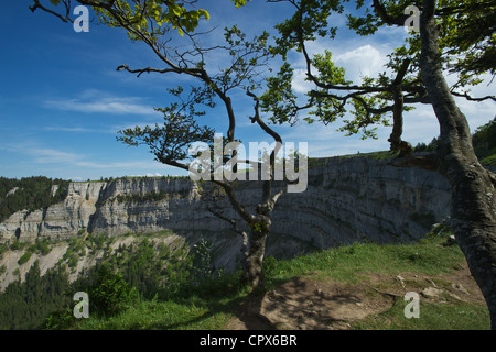 Le mur de Creux du Van dans le cantone de Neuchâtel Suisse qui s'appelle le Grand Canyon de Suisse Banque D'Images