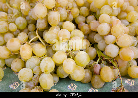 Raisins verts frais en vente au marché de rue hebdomadaire en Greve-in-Chianti, Toscane, Italie Banque D'Images