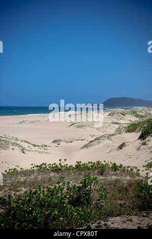 Scenic shot d'une plage avec l'océan dans l'arrière-plan Banque D'Images