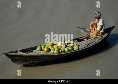 L'Asie du Sud , Bangladesh , bateau avec coco à Ganges river qui est appelé Padma Banque D'Images