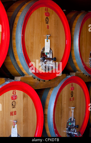 Le Brunello di Montalcino millésime 2010 vin stocké dans des tonneaux barriques au Palazzo Wine Estate dans le Val d'Orcia, Toscane, Italie Banque D'Images