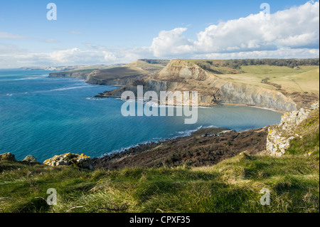 Vue vers l'Ouest en direction de Chapman's piscine depuis St Aldhelm's Head Côte Jurassique Dorset UK Banque D'Images