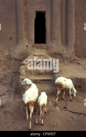 Mali, région de Mopti, Djenné, classée au Patrimoine Mondial de l'UNESCO, l'entrée d'une maison en pisé Banque D'Images