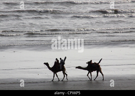 Les propriétaires de chameaux en direction de Clifton beach à Karachi le 7 mai 2012. Photo Mohsin Hassan Banque D'Images