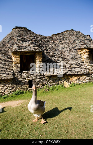 France, dordogne, Périgord Noir, vallée de la Dordogne, Saint Andre d'Allas, dans le lieu appelé Calpalmas, Cabanes du Breuil, ancien Banque D'Images