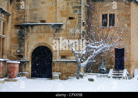 France Vaucluse Luberon Lourmarin étiqueté Les Plus Beaux Villages de France Les Plus Beaux Villages de France 15e 16e Banque D'Images