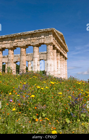 Italie, Sicile, site archéologique de Segesta, temple dorique construit en 430 av. Banque D'Images