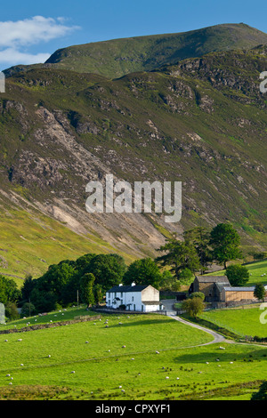 Hill Farm dans les pâturages par Robinson et le champ Fin Fells, Cumbrian mountains in Lake District National Park, Royaume-Uni Banque D'Images