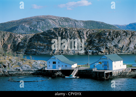 La Norvège, Nordland County, îles Lofoten, la salmoniculture Banque D'Images