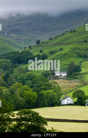 Hill Farm à Easedale Près de Grasmere dans le Parc National du Lake District, Cumbria, Royaume-Uni Banque D'Images