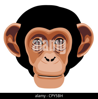 Illustration de tête de singe cartoon style Banque D'Images