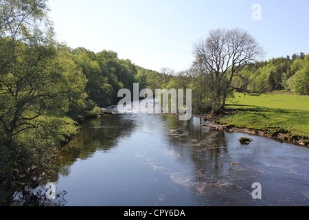 Scène de Teesdale, Angleterre du Nord-Est. 26 mai 2012 - une vue sur la rivière - à - en aval entre la Force très spectaculaire waterf Banque D'Images