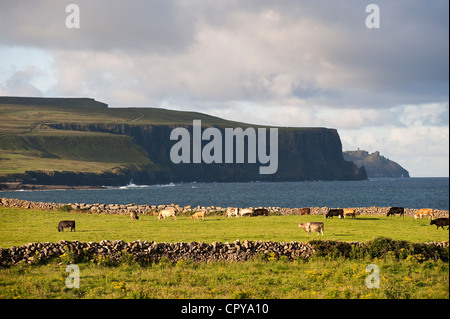 République d'Irlande, comté de Clare, les falaises de Moher Banque D'Images