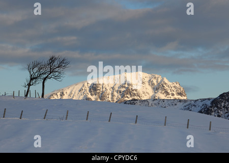 La Norvège, Nordland County, îles Lofoten, paysage en hiver dans l'Île Vestvagoy Banque D'Images