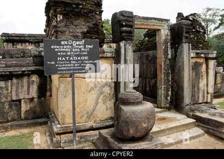 Ruines du temple Dalada Maluva Hatadage en quadrilatère, Polonnaruwa, Sri Lanka Banque D'Images