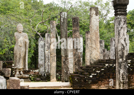 Ruines du temple Dalada Maluva Hatadage en quadrilatère, Polonnaruwa, Sri Lanka Banque D'Images