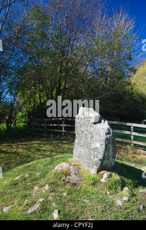 L'aigle, Pierre Strathpeffer, Ross-shire, en Écosse. Banque D'Images