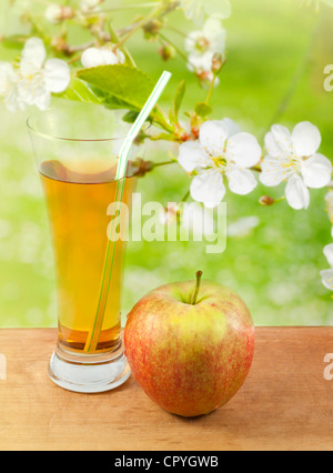 Des jus de pomme pommes fraîches dans le jardin de printemps Banque D'Images