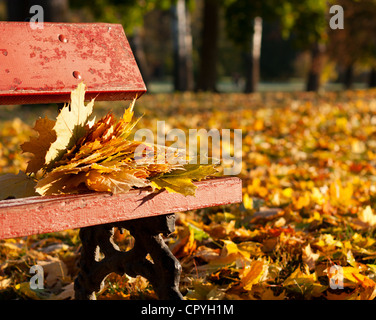 Feuilles d'érable sur un banc dans le parc. Paysage d'automne Banque D'Images