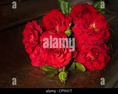 Bouquet de roses rouges fraîchement cueillies Banque D'Images