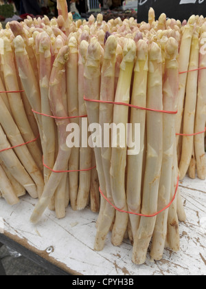 Les cadres de l'asperge blanche en vente sur le marché de Vaison-la-Romaine, Vaucluse, Provence, France. Banque D'Images