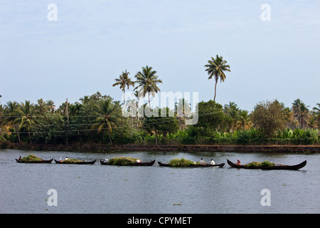 L'Inde, Etat du Kerala, les bras morts, Allepey, transport fluvial sur les canaux Banque D'Images