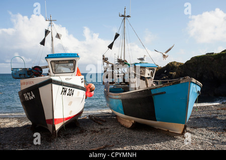 Cadgewith, Cornwall, petit village de pêcheurs sur le lézard Banque D'Images