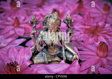 Déesse Lakshmi, la déesse hindoue de la fortune et de la beauté, les fleurs de lotus, Thrissur, Kerala, Inde du Sud, l'Asie Banque D'Images